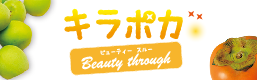 きらぽかビューティースルー